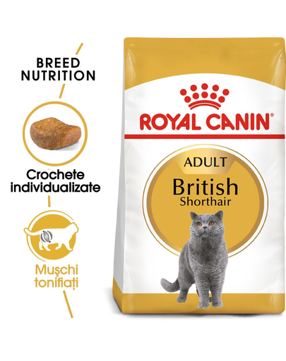 Royal Canin British Shorthair Adult hrana uscata pisica, 400 g 