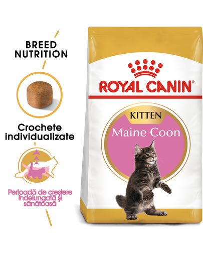 ROYAL CANIN Kitten maine coon 4 kg