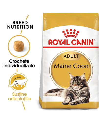 Royal Canin Maine Coon Adult hrana uscata pisica, 4 kg 