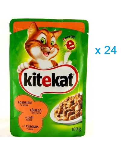 KITEKAT Hrană umedă pentru pisici somon în sos 100 g x24