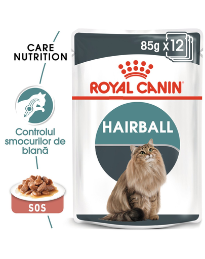 Royal Canin Hairball Care Adult hrana umeda pisica pentru controlul ghemurilor de blana, 12 x 85 g 