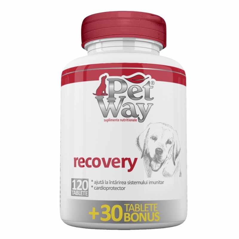 PetWay Recovery, 120 tablete