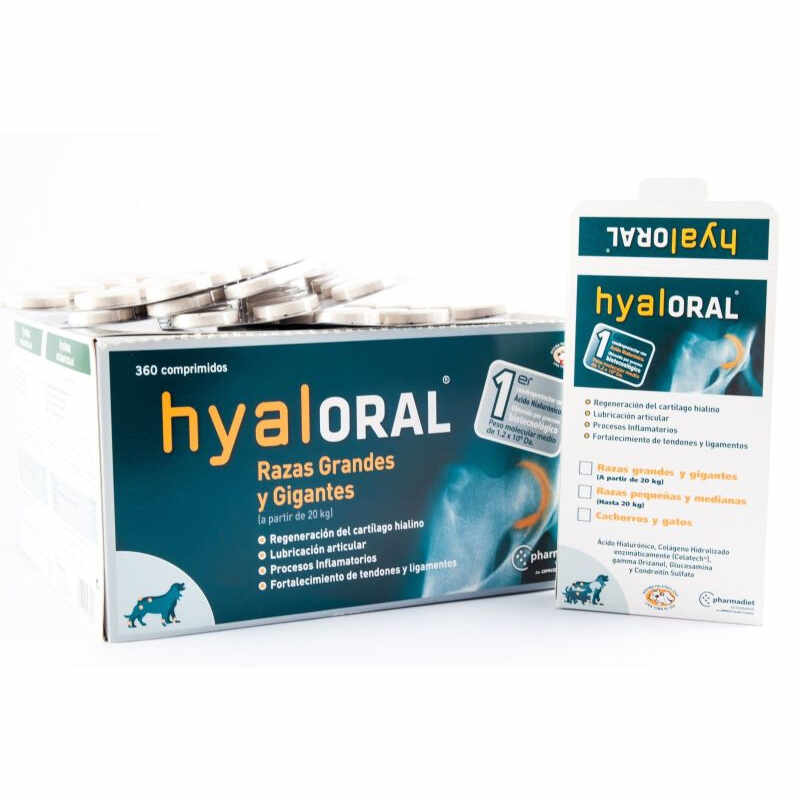 Hyaloral Large Breed 12 tablete/blister
