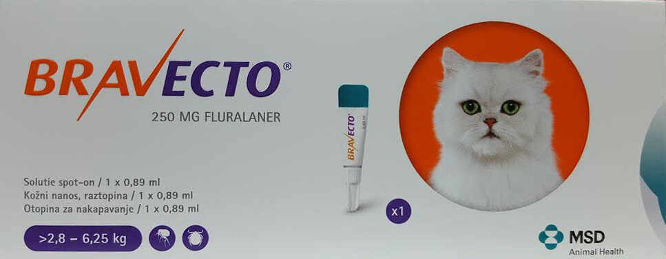 Bravecto 250 mg solutie spot-on pentru pisici de talie medie (>2.8 – 6.25 kg)