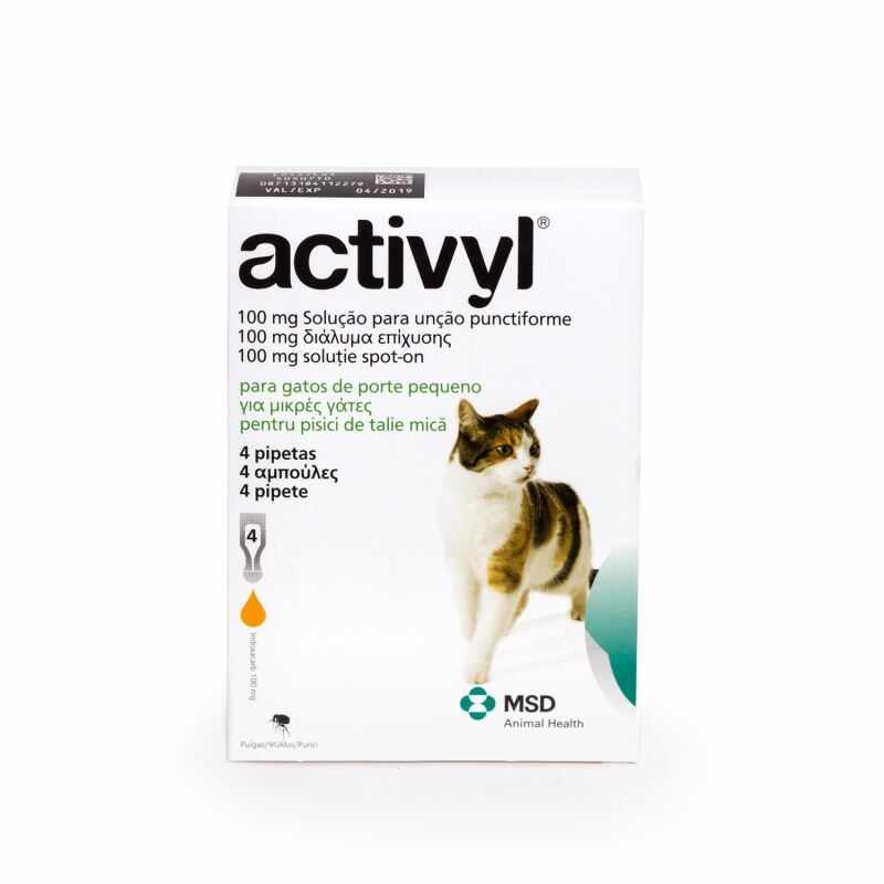 Activyl Cat (< 4kg), 4 pipete