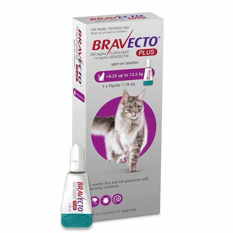 Bravecto Plus Spot On Cat 500 mg (6.25 - 12.5 kg), 1 pipeta