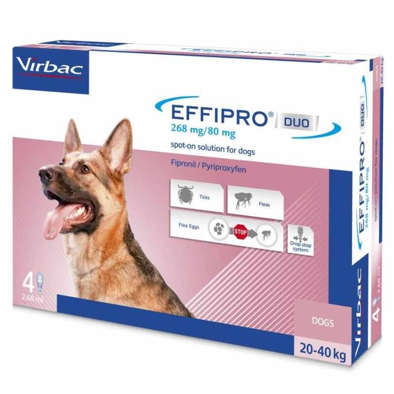 Effipro Duo Dog L 268 mg (20 - 40 kg), 4 pipete