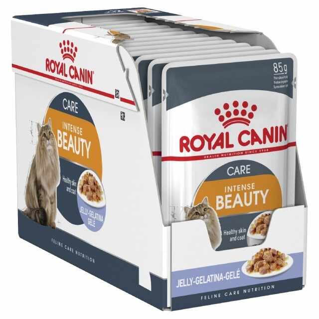 Royal Canin Intense Beauty in Jelly, 12 plicuri x 85 g