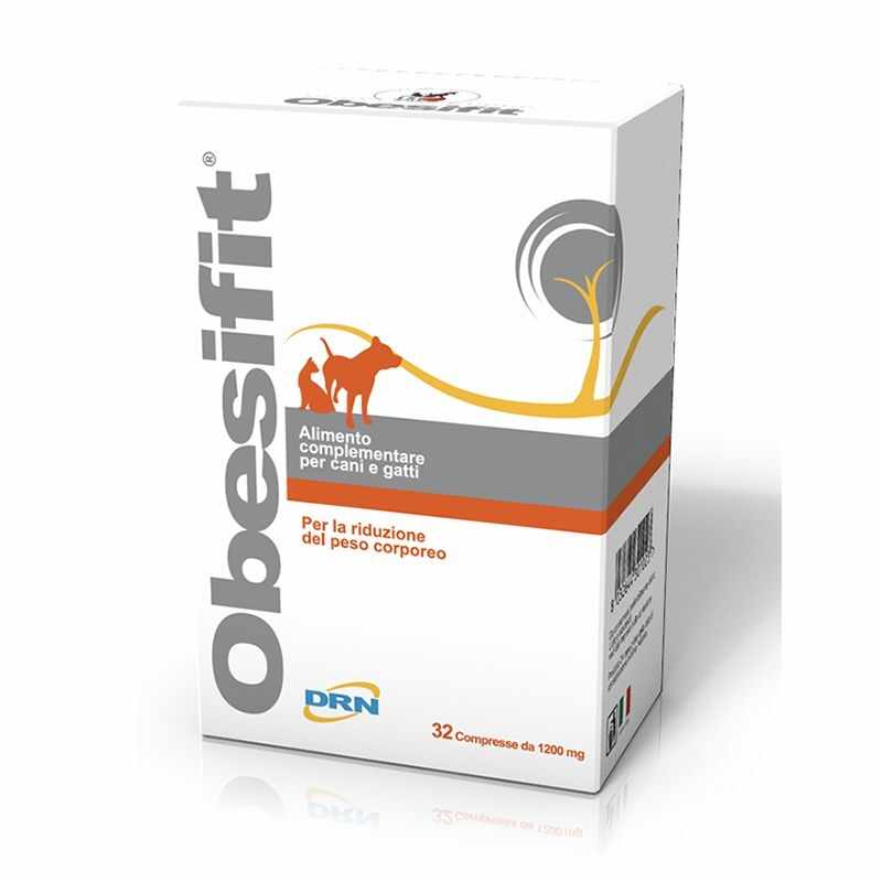 DRN Obesifit, 32 tablete