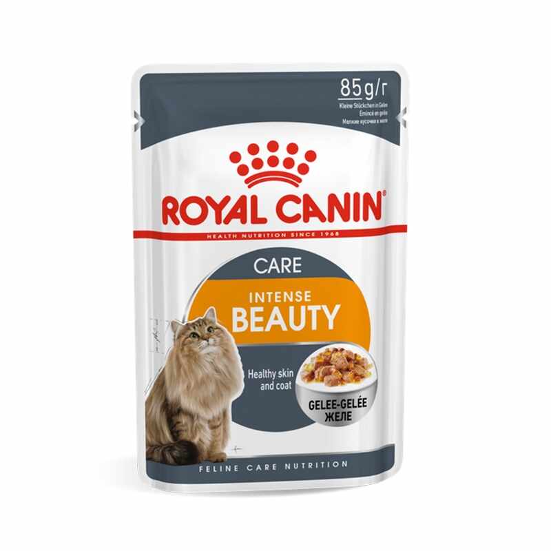 Royal Canin Intense Beauty in Jelly, 1 plic x 85 g