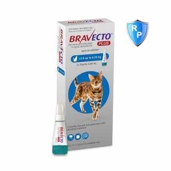 Bravecto Plus Spot On Cat 2.8-6.25 kg, 250 mg, 1 pipeta
