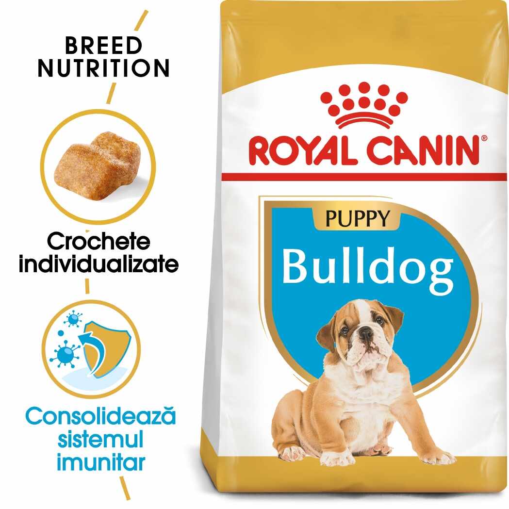 Royal Canin Bulldog Puppy hrana uscata caine junior