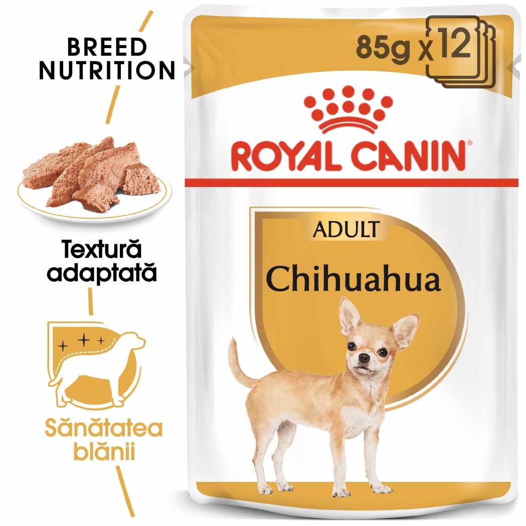 Royal Canin Chihuahua Adult, 12 x 85 g