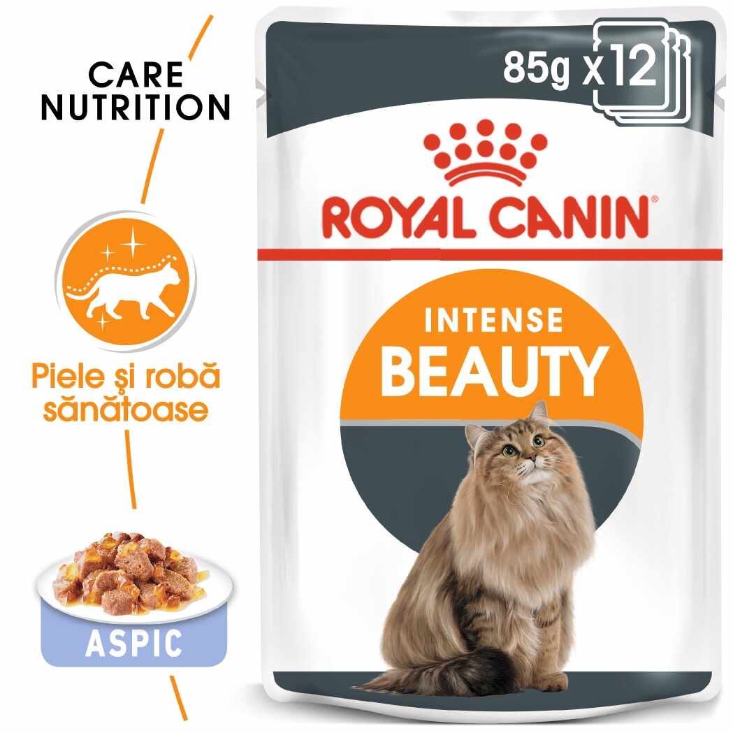Royal Canin Intense Beauty Care Adult hrana umeda pisica, piele/blana sanatoase (aspic), 12 x 85 g