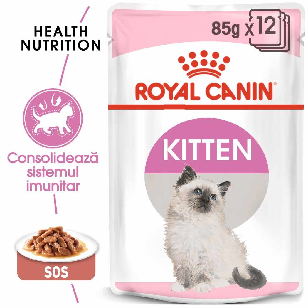 Royal Canin Kitten hrana umeda pisica (in sos), 12 x 85 g