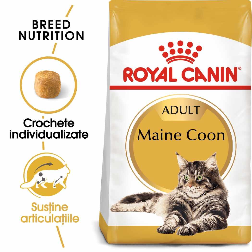 Royal Canin Maine Coon Adult hrana uscata pisica