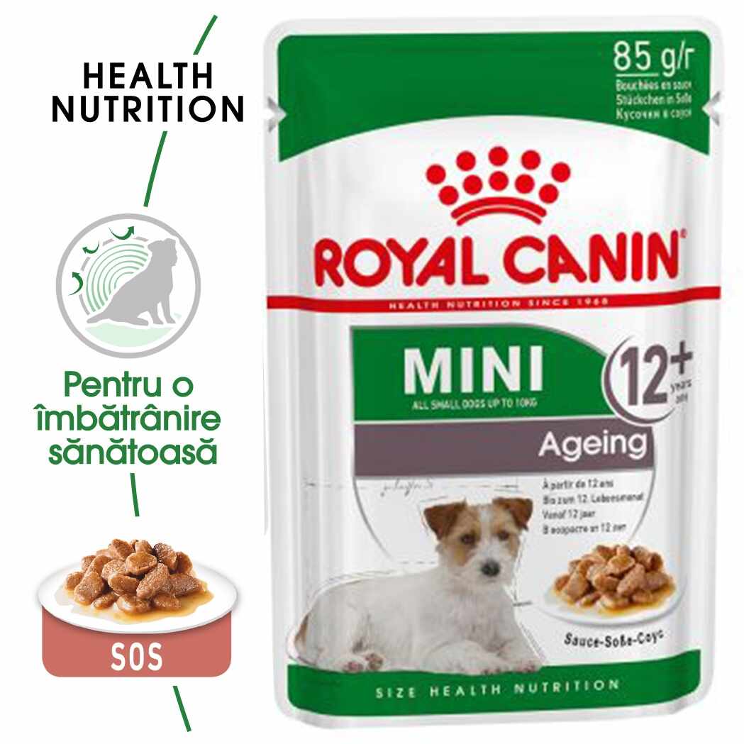 Royal Canin Mini Ageing 12+ hrana umeda caine senior (in sos), 85 g
