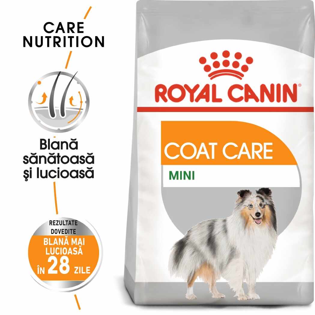 Royal Canin Mini Coat Care Adult hrana uscata caine, blana sanatoasa si lucioasa