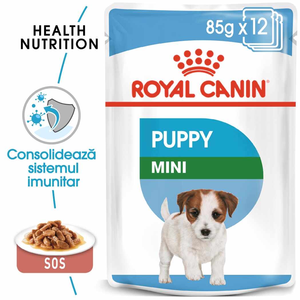 Royal Canin Mini Puppy hrana umeda caine junior (in sos), 12 x 85 g