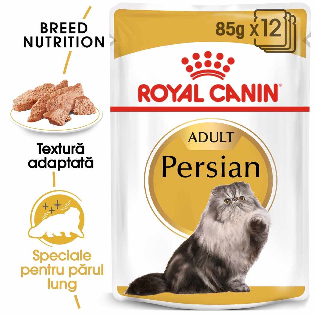Royal Canin Persian Adult hrana umeda pisica (pate), 12 x 85 g