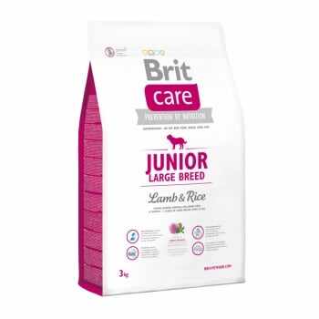 BRIT Care Junior Large Breed, L-XL, Miel cu Orez, hrană uscată câini junior, 3kg
