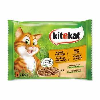 KITEKAT Hrana Delicată, Miel și Iepure, pachet mixt, plic hrană umedă pisici, (în sos), 100g x 4