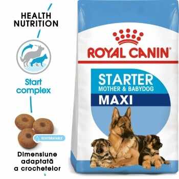 Royal Canin Maxi Starter Mother & BabyDog, mama și puiul, hrană uscată câini, 4kg