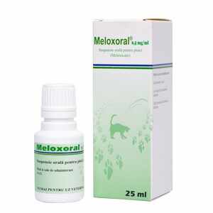 Meloxoral, 25 ml, 0.5 mg/ml