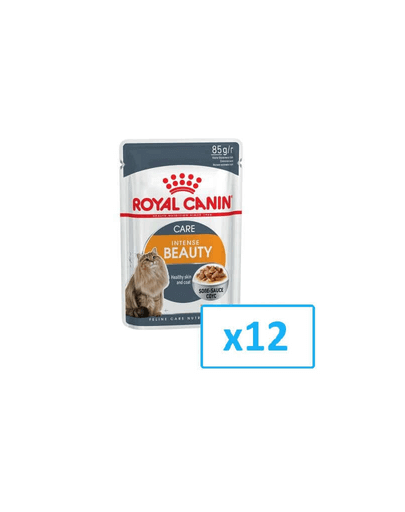 Royal Canin Intense Beauty Care Adult hrana umeda in aspic pisica pentru piele si blana sanatoase, 12 x 85 g 