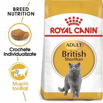Royal Canin British Shorthair Adult, pachet economic hrană uscată pisici, 10kg x 2