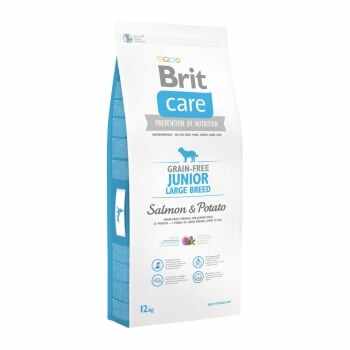 BRIT Care Junior Large Breed, L-XL, Somon cu Cartofi, pachet economic hrană uscată fără cereale câini junior, 12kg x 2
