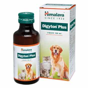 Himalaya Digyton Plus Liquid, Probleme Digestive, 100 ml