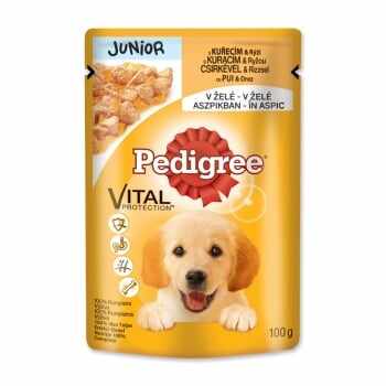 PEDIGREE Vital Protection Junior, Pui, pachet economic plic hrană umedă câini junior, (în aspic), 100g x 30
