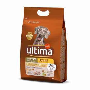ULTIMA Dog Medium & Maxi Adult, Pui, hrană uscată câini, 3kg
