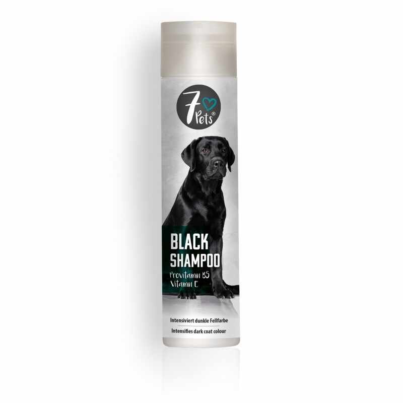 Black Shampoo, 250 ml