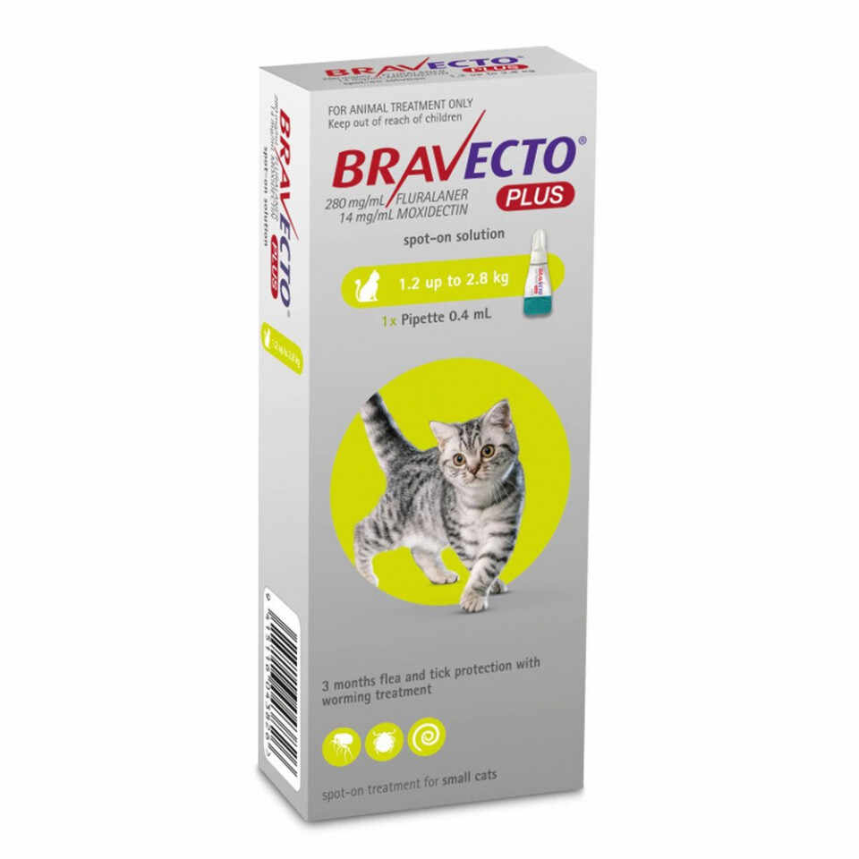 Bravecto Plus Spot On 112.5 mg pisici 1.2 - 2.8 kg