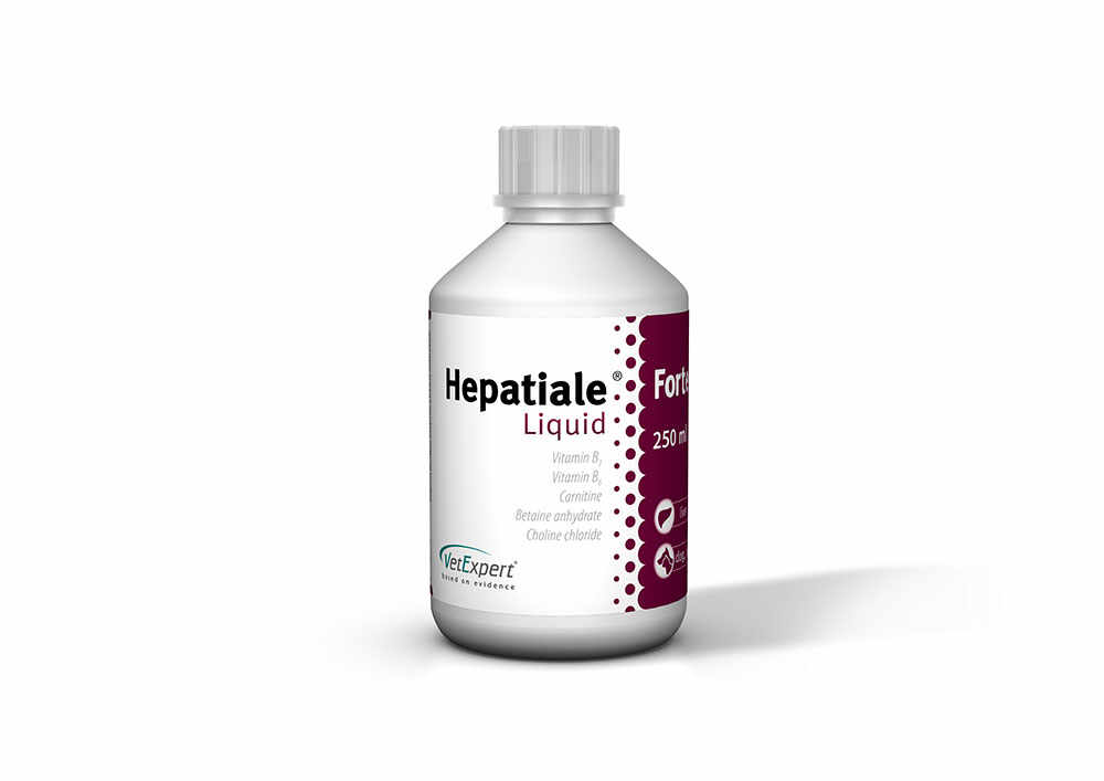 Supliment nutritiv Hepatial Liquid, pentru caini si pisici - 250 ml