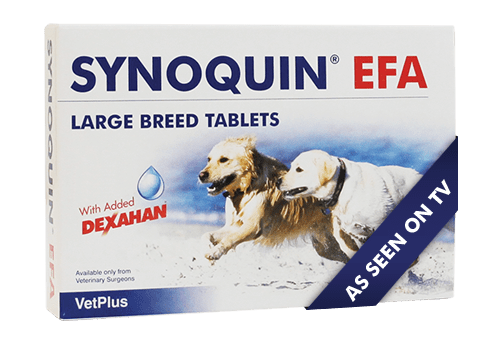Supliment nutritiv pentru câini de talie mare, Synoquin EFA x 30 capsule