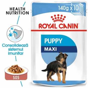 Hrana umeda Royal Canin Maxi Puppy Plicuri 10x140g