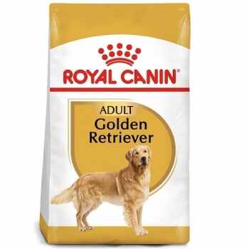 Royal Canin Golden Retriever Adult, 3 kg