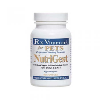 Rx Vitamins NutriGest, 90 Tablete