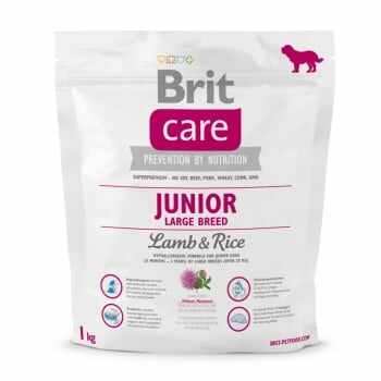 BRIT Care Junior Large Breed, L-XL, Miel cu Orez, hrană uscată câini junior, 1kg