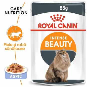 Royal Canin Intense Beauty Care Adult, bax hrană umedă pisici, piele și blană, (în aspic), 85g x 12