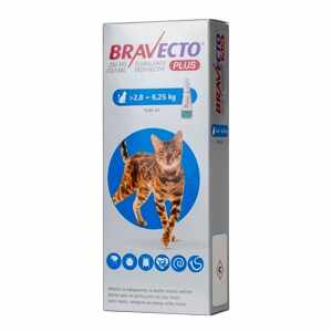 Bravecto Plus Spot On Cat 250 mg (2.8-6.25 kg) x 1