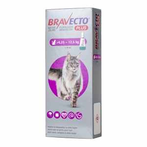 Bravecto Plus Spot On Cat 500 mg (6.25-12.5 kg) x 1