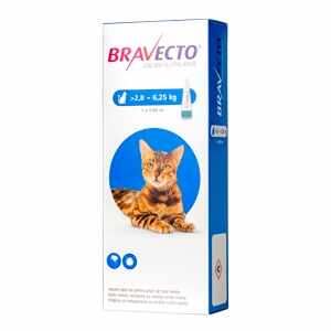Bravecto Spot on Cat 250 mg (2.8 - 6.25 kg) x 1
