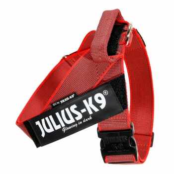 JULIUS-K9 IDC Color & Gray, ham bandă câini, 2XL, 40-70kg, roșu