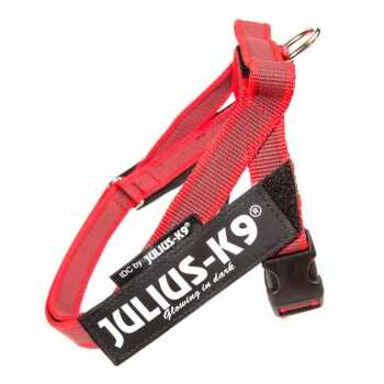 JULIUS-K9 IDC Color & Gray, ham bandă câini, S, 7-15kg, roșu