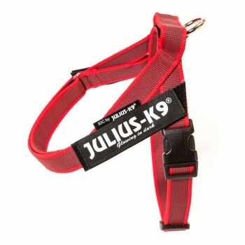 JULIUS-K9 IDC Color & Gray, ham bandă câini, XS, 4-7kg, roșu