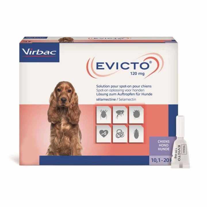Evicto 120 mg pentru câini de 10.1 - 20.0 kg